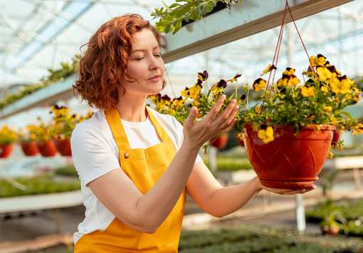 10 Best Garden Centers and Nurseries in Idaho!